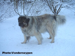 Alan 9 years